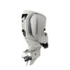 Evinrude C175WLF 175 HP Outboard Motor