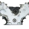VEGE Remanufactured Long Block Crate Engines DFCP